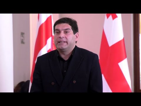 \"ვინც იტყვის, რომ მთავრობა, \"ქართული ოცნება\" ან ივანიშვილი პრორუსულია, ის უბრალოდ ფანტაზიორობს\"