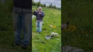 Duże Krąpie wpłynęły z Wieprza #wędkarstwo. Rzeka Bystrzyca #fishing. Lublin #trip
