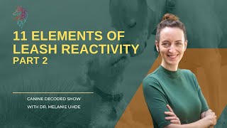 11 Elements of Leash Reactivity That Noone Talks About Part 2 | The Canine Decoded Show #5