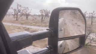 Cima Dome Flash Flooding - Summer 2021
