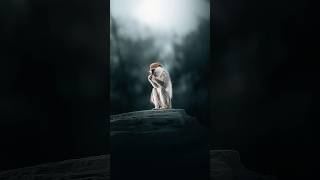 Its Not Magic, Its Masking