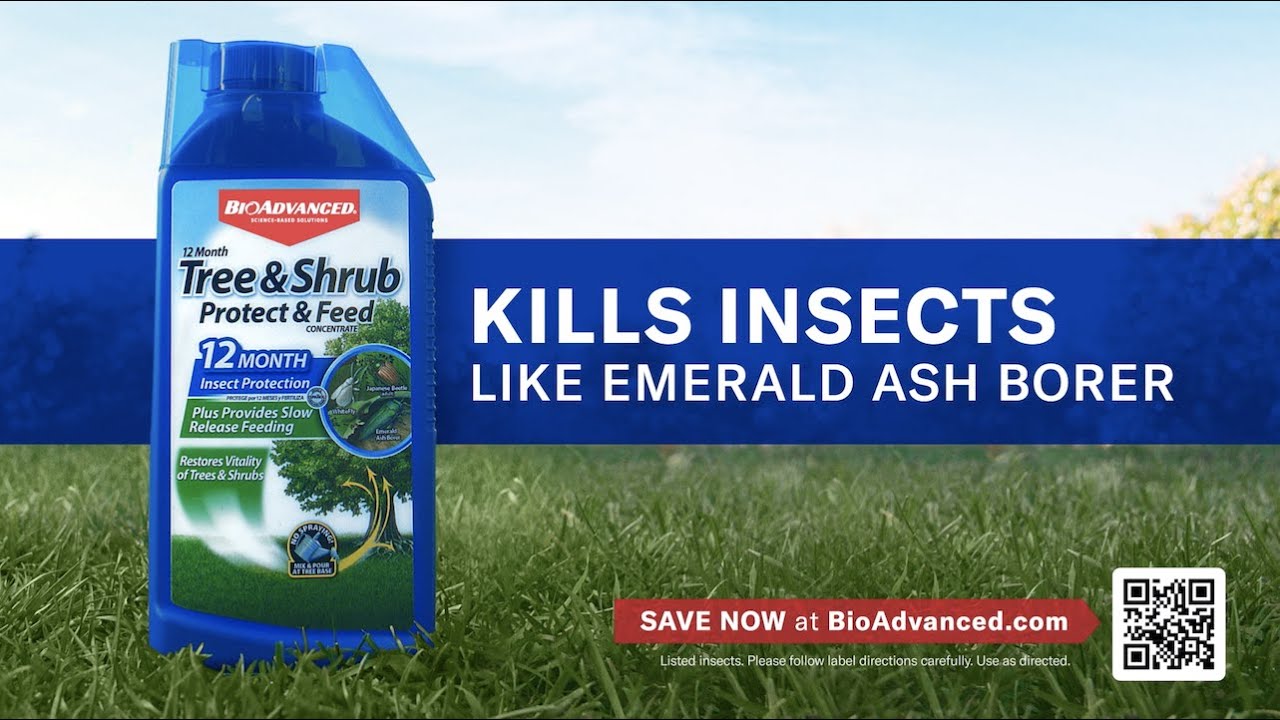 BioAdvanced Brand & Tree & Shrub Emerald Ash Borer 30 YouTube