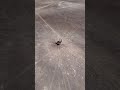 something terrible has crashed into our earth #googleearth... #Shorts #faye24h