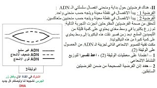 الاختبار الثاني في العلوم الطبيعية للسنة الثانية ثانوي