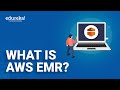 What is AWS EMR|Introduction to Amazon EMR|Data Processing with AWS EMR|AWS Training| Edureka Rewind