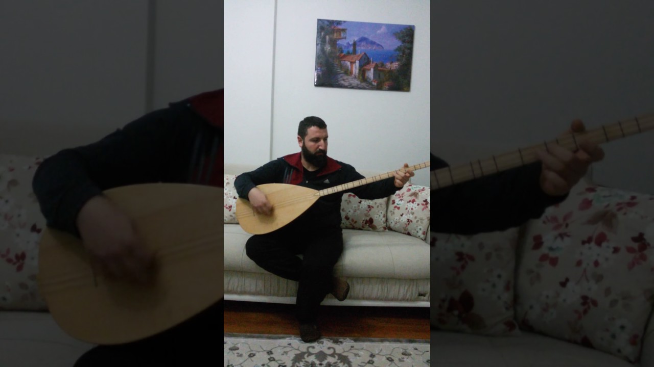 SEZGİN YAMAN  HAYDAR HAYDAR