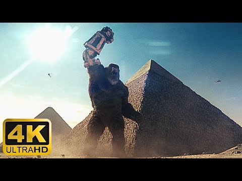 Godzilla fights Kong in Egypt - 4K Scene (1/2) - Godzilla x Kong: The New Empire