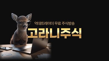 (실시간주식방송)1217(수)