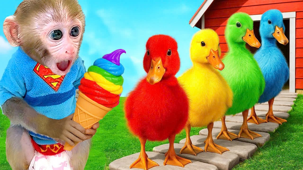 Singe Bon Bon reçoit un cadeau des extraterrestres un costume de super-héros