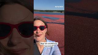 How Are Cranberries Harvested