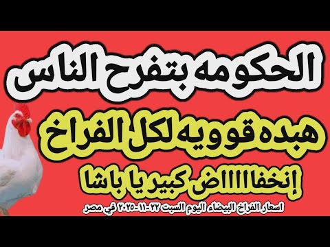 اسعار الفراخ البيضاء اليوم سعر الفراخ البيضاء اليوم السبت ٢٢ ١١ ٢٠٢٥ في مصر جمله وقطاعي