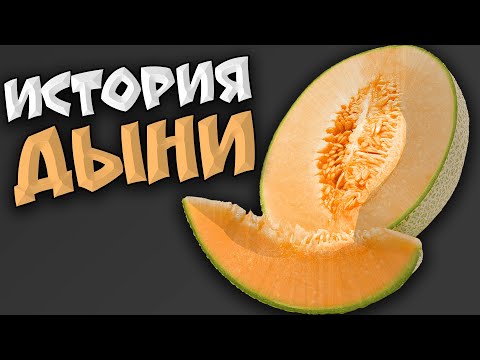 КАК ПОЯВИЛАСЬ ДЫНЯ Краткая История