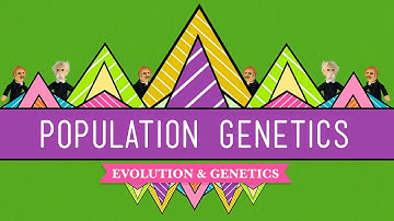 Understanding Population Genetics  Exploring Genetic Variation and Evolution