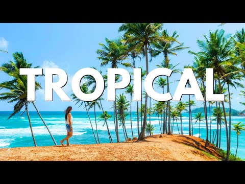 Faos — Paradise