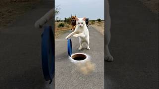 ওগো মা 🥲🥲#sorts​ #ytshort​ #sort​ #নবীজী​ #নবিজীর​ #নবীজির​ #নবীজির_গজল​ #islamic​ #chanal​ #yt