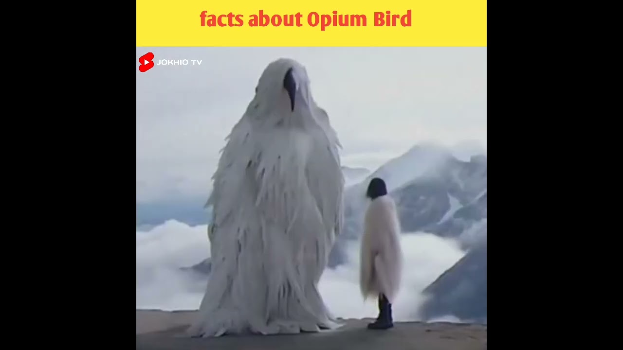 facts about Opium Bird | facts about life save 
