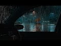 Heavy Rain on Car Roof 🌧️ Cozy Storm Sounds for Sleeping, Relaxation & Stress Relief