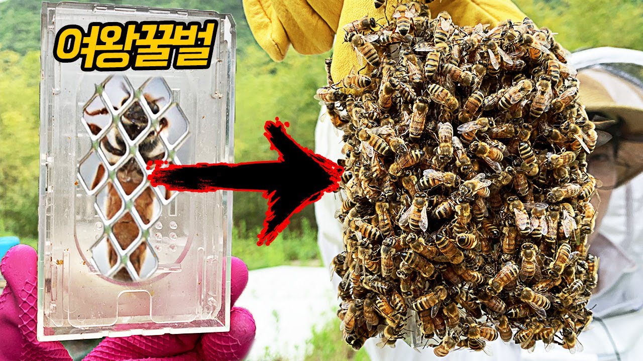 추천 영화