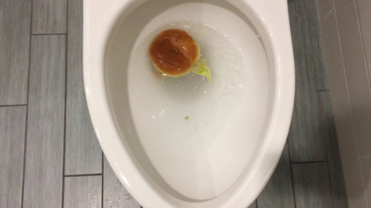 Will it Flush? - Burger King Chicken Sandwich