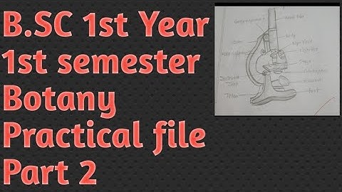 B.SC First year, First Semester, Botany Practical file, Part 2