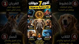 هذه الحيوانات السبع لن تنسى أي شيء! #خطير #حيوانات