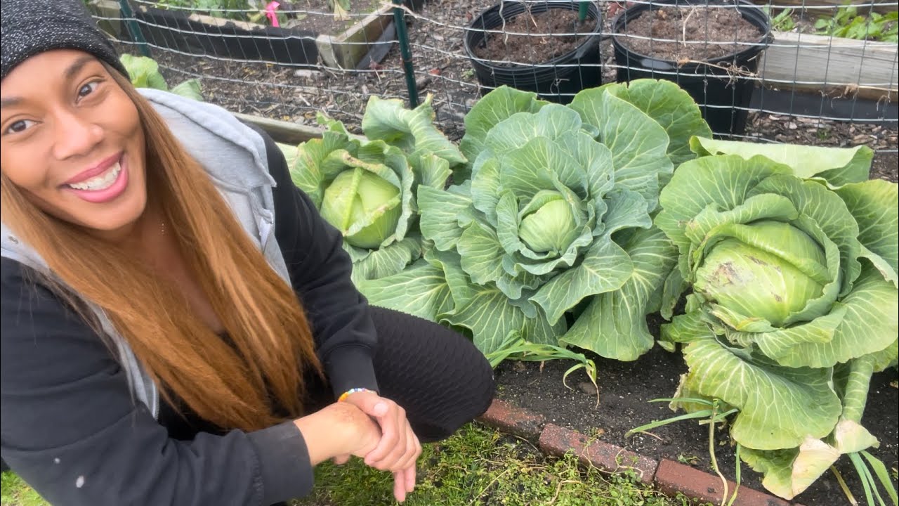 Tips On How To Fertilize Your Own Backyard Spring Garden … Vegetable ...