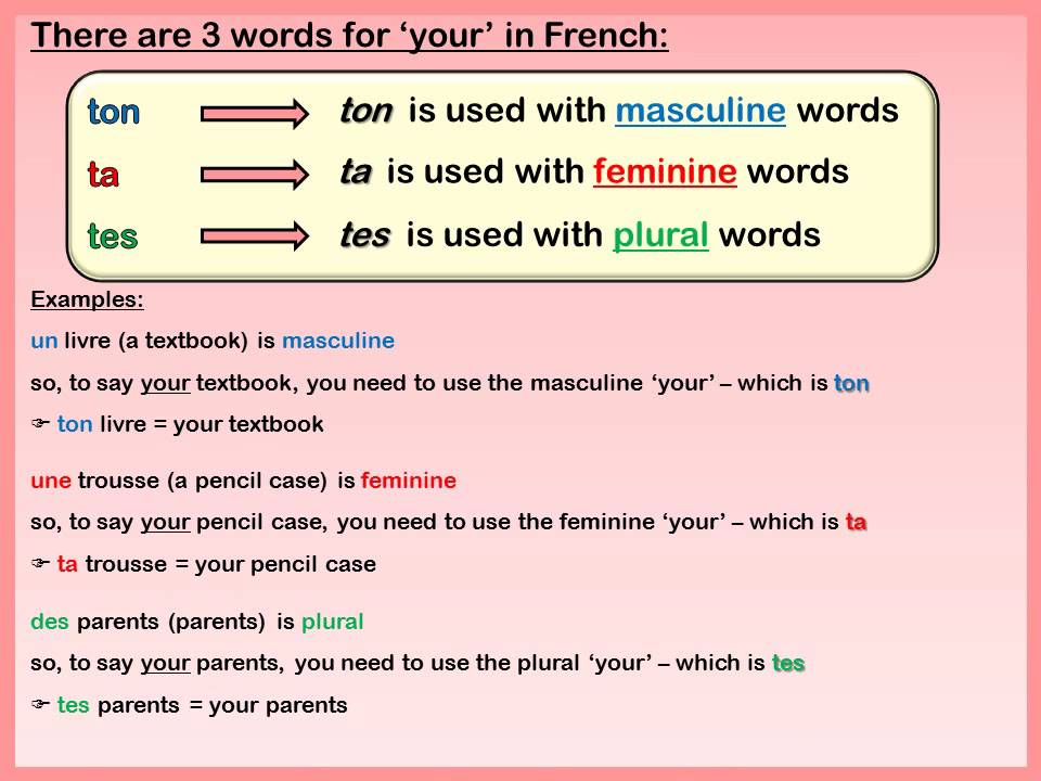 French Possessive Adjectives Chart