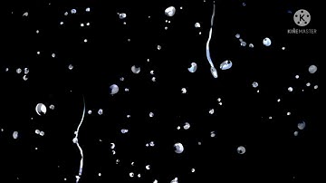 Vídeo AppleDash - Fluttercord.HD 720P.