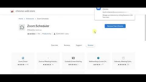 How to add Zoom Extension for Browsers (Google Chrome)