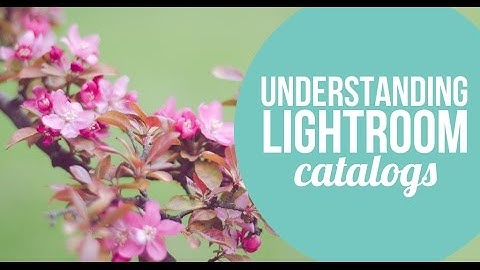 Understanding Lightroom catalogs & how to create a Lighroom catalog