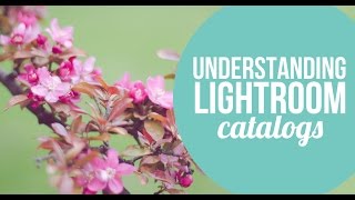 Understanding Lightroom catalogs & how to create a Lighroom catalog