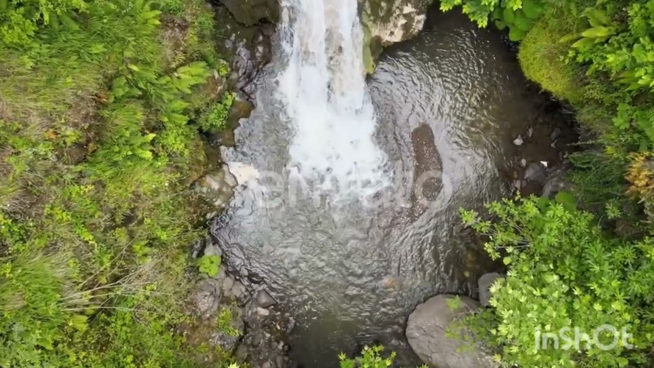 Enjoy all the benefits of an Envato Elements subscription.