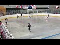 U16 - USA vs. Switzerland - 2023 World Junior Ball Hockey Championships