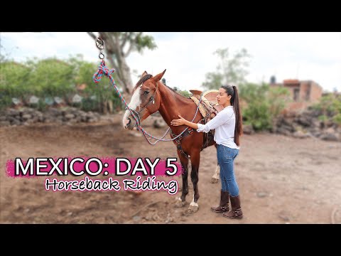 MEXICO TRIP: DAY 5 | Horseback Riding in Mexico | Summer 2020 | Travel Vlog