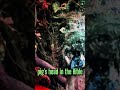 Lord of The Flies S1 Ep3 | #lordoftheflies #shorts