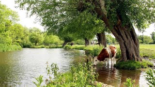 10 Best Tourist Attraction in Chelmsford,  England