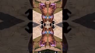 Tokinho On Mequetrefe By Arca