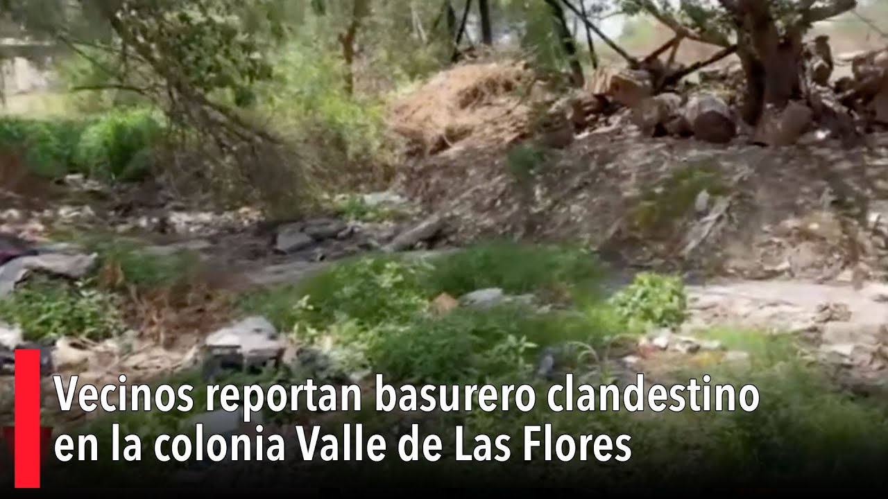 Vecinos reportan basurero clandestino en la colonia Valle de Las Flores ...