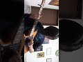 はじめての残響系はこれだった。 37秒で/ yeti let you notice #37秒で #yetiletyounotice #ギター #momose #fender #guitar #高校生