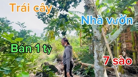 ☎️nhà cấp 4 vườn trái cây điện nước đầy đủ sẳn nguồn thu nhập giá 1 tỷ 
