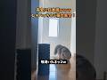 完全に日本語ｗｗｗしゃべっちゃう猫大集合！