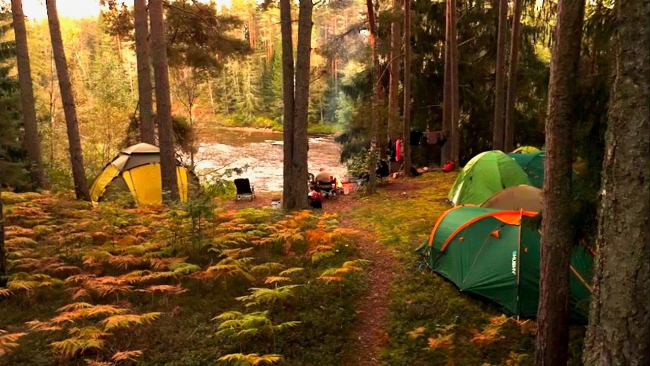 Сплав по Гауе | Трофейный жерех и крючок в руке. Ночёвки в лесу. Рыбалка и готовка на костре.