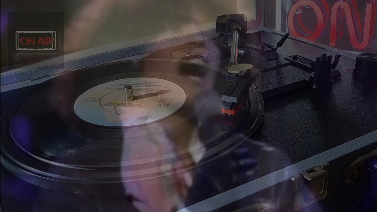 Whitney Houston - Didn't We Almost Have It All (July, 1987)