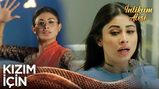 Yılan Dansı Shivanginin Hayatını Kurtardı - İntikam Ateşi 2.Sezon 4. Bölüm