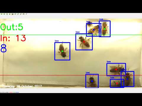 Bee Counter Demo 1 (Version 0.4)