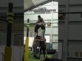 5/16 ハーバーランドでパフォーマンスいくよー