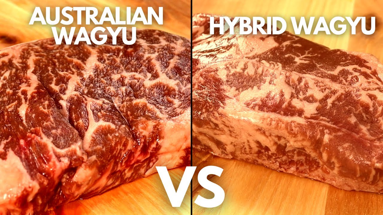 A Culinary Clash of Titans: Saikoro vs Wagyu - Unveiling the Beefy Battle