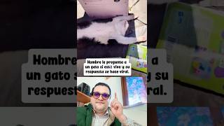 La respuesta de este gato #gatos #cat #pet #kitten #humor #cute