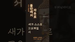 불안에서 자유로 | 부처님말씀 | 석가모니 부처님 | 마음치유 | 불면증 | 명상의 말씀
