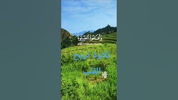 تلاوة تريح الأعصاب قرأن كريم تخشع له القلوب #قران_كريم #elmulquranعلم #trend #duet #المصحف